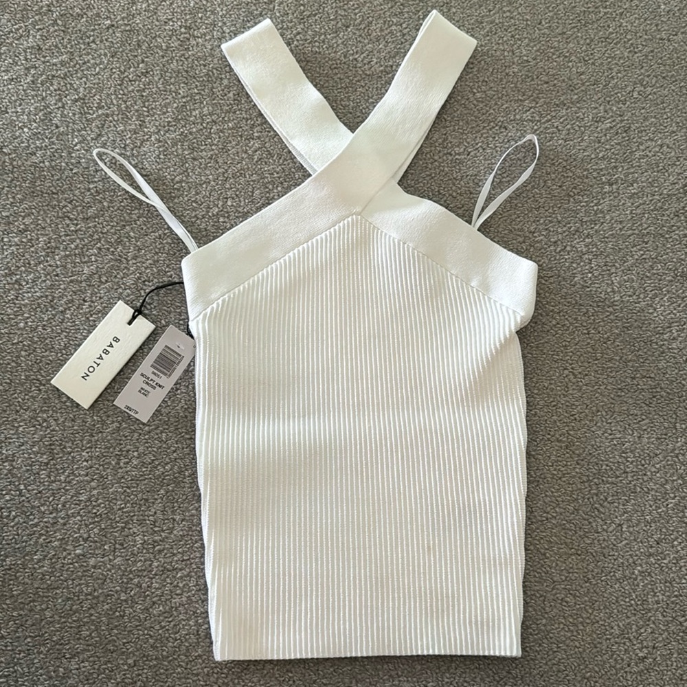 Aritzia Babaton Top